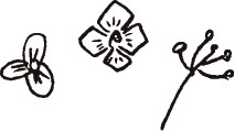 花